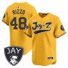 anthony rizzo 48 new york yankees jay z men jersey gold