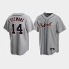 mens detroit tigers 14 christin stewart gray road jersey jersey